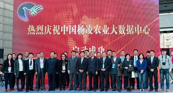 北京电子信息职业教育集团 打造产教融合新生态，赋能教育信息服务升级